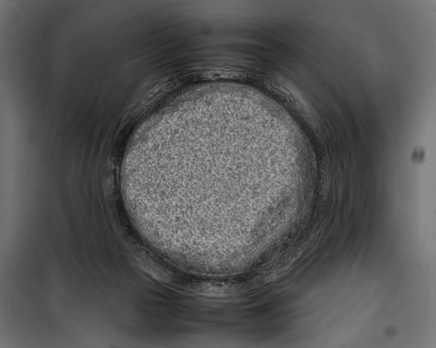 X0000099940169200806201129