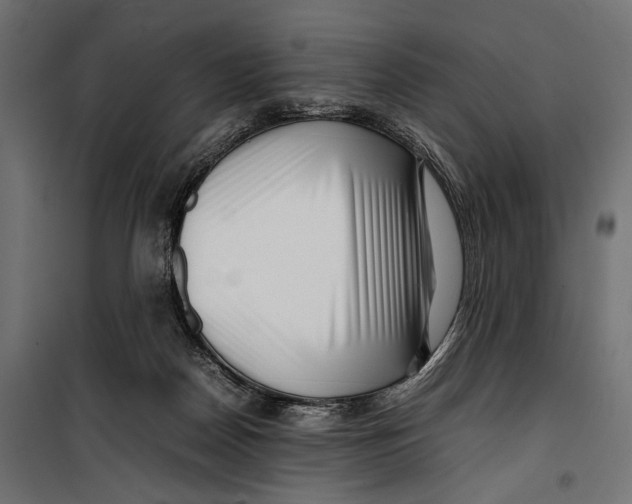 X0000099940170200806201129