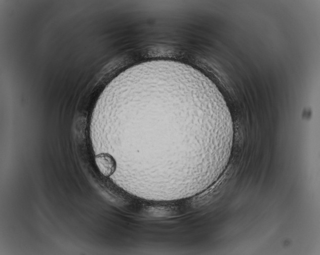 X0000099940171200806201129