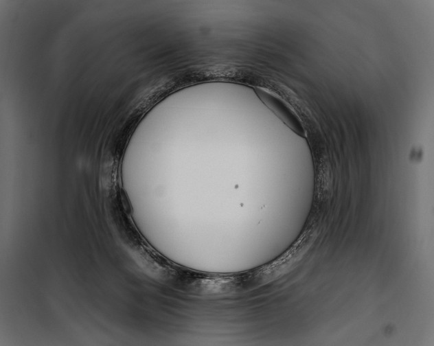 X0000099940172200806201129