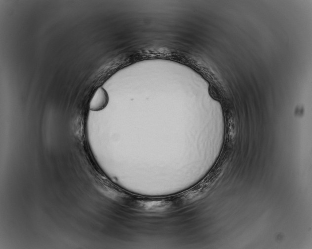 X0000099940173200806201129