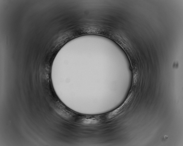 X0000099940175200806201129