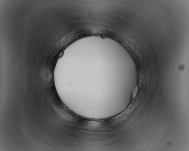 X0000099940176200806201129