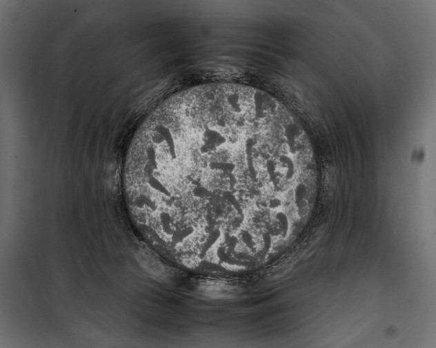 X0000099940177200806201129
