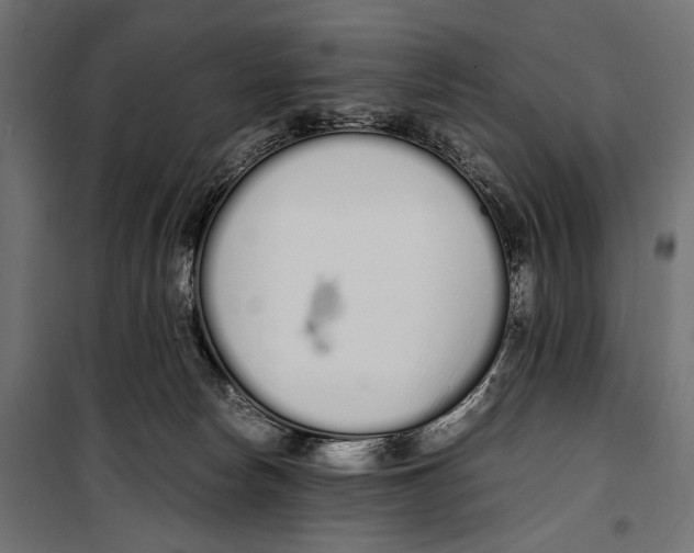X0000099940178200806201129