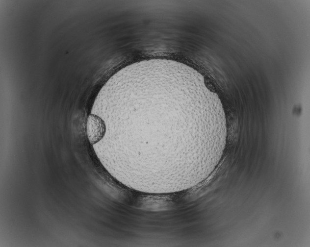X0000099940179200806201129