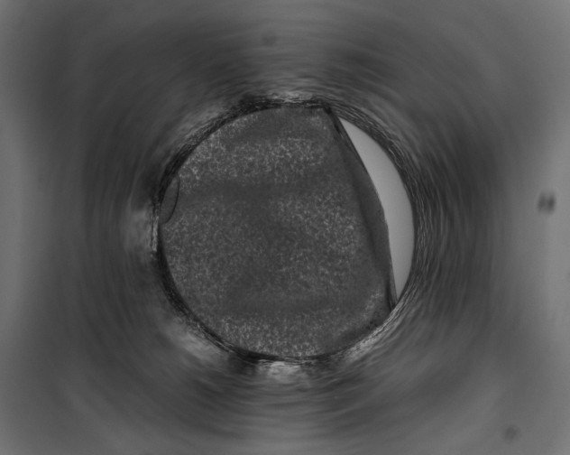 X0000099940180200806201129