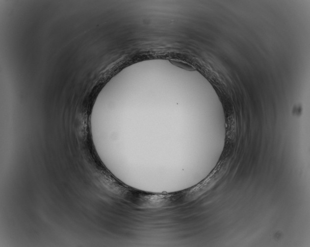 X0000099940184200806201129