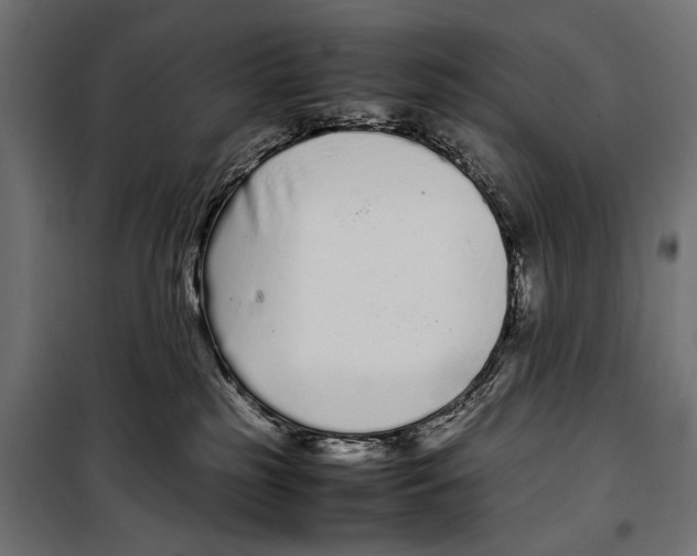 X0000099940185200806201129
