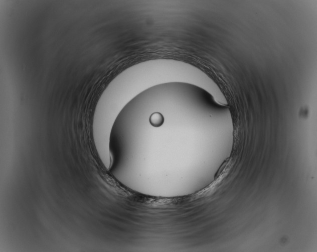 X0000099940186200806201129