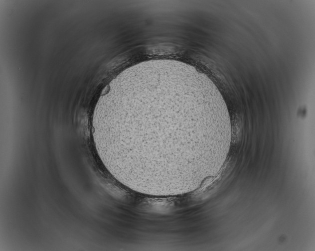 X0000099940187200806201129