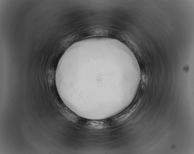 X0000099940189200806201129