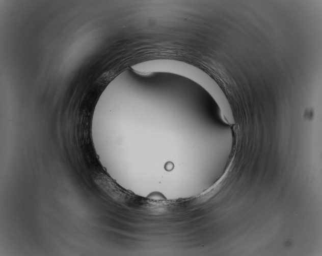 X0000099940190200806201129