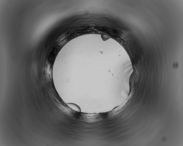 X0000099940191200806201129