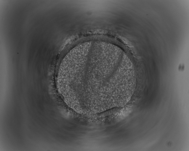 X0000099940192200806201129