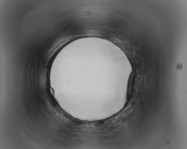 X0000099940194200806201128