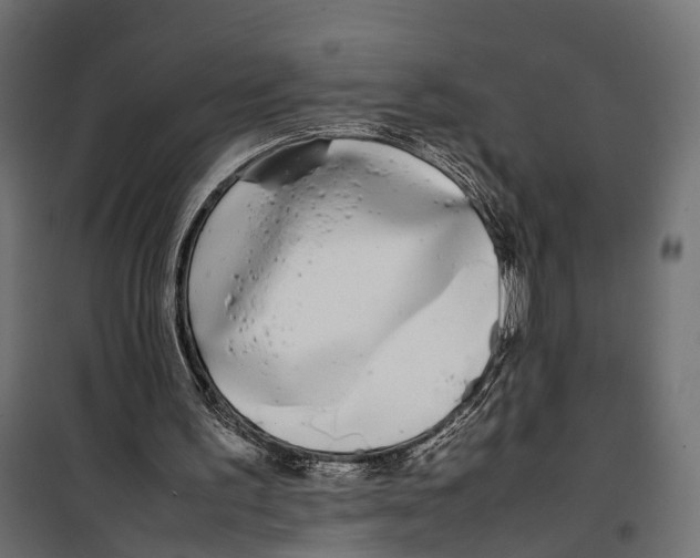 X0000099940195200806201128