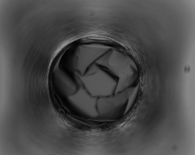 X0000099940196200806201128
