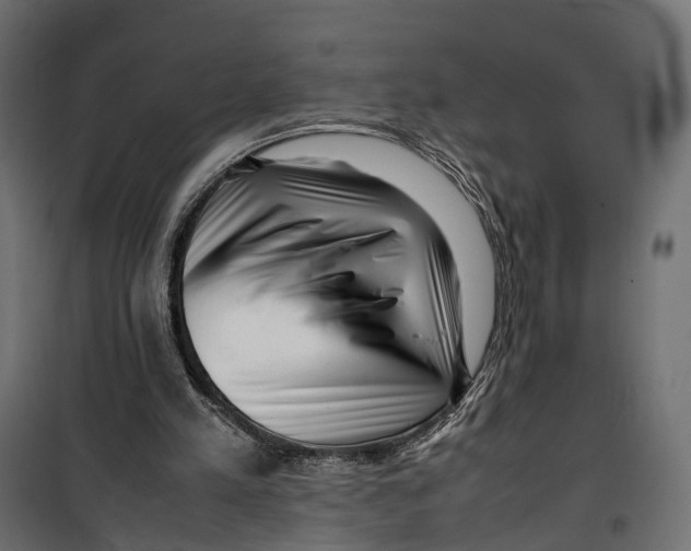 X0000099940197200806201128