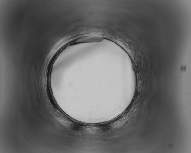 X0000099940199200806201128