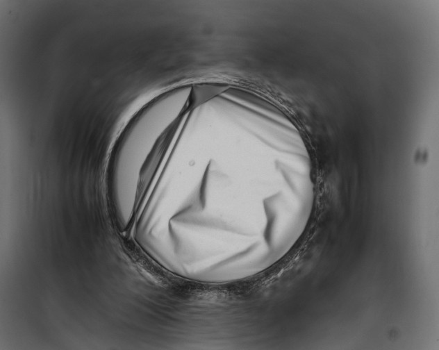 X0000099940200200806201128