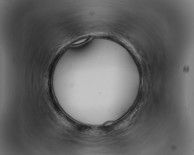 X0000099940201200806201128