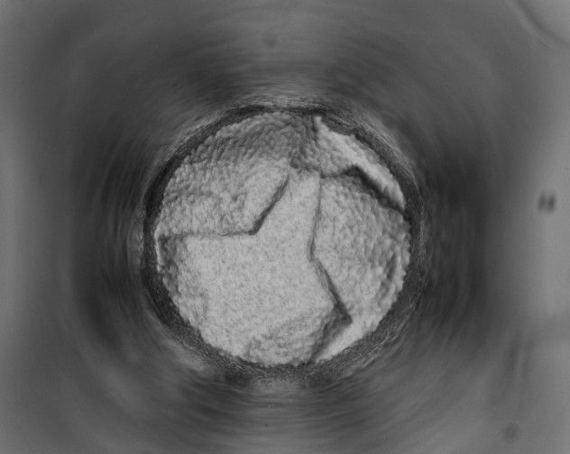 X0000099940202200806201128