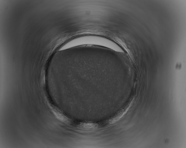 X0000099940205200806201128