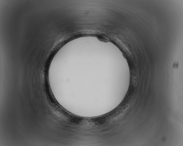 X0000099940207200806201128
