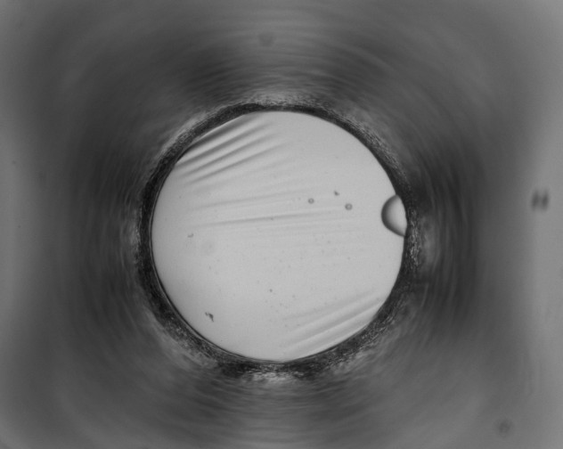 X0000099940208200806201128