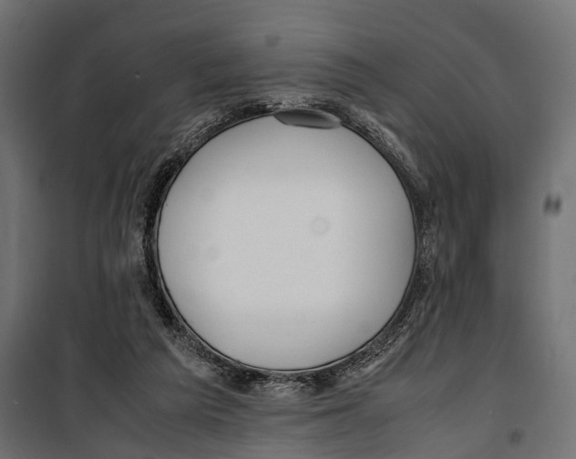 X0000099940209200806201128