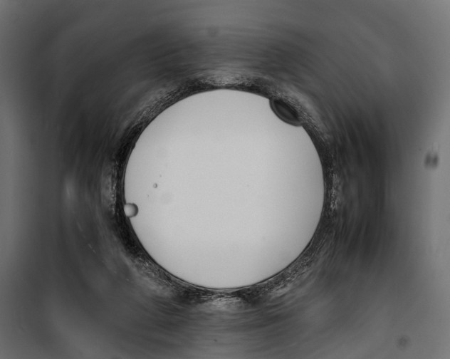 X0000099940210200806201128