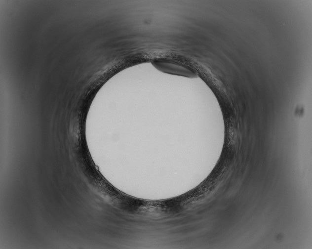 X0000099940211200806201128
