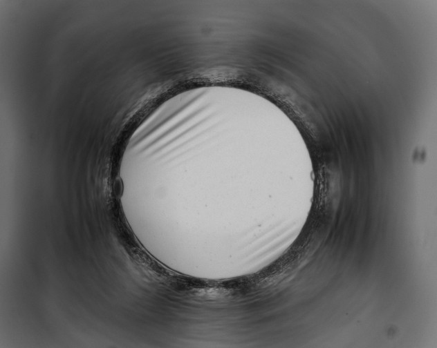 X0000099940212200806201128