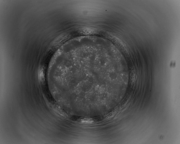 X0000099940214200806201128