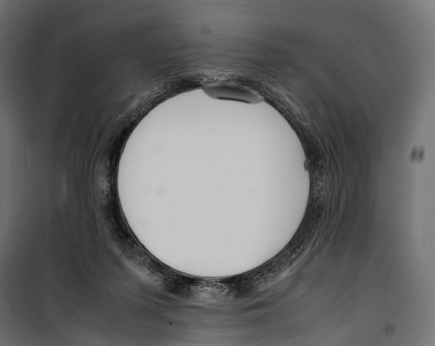 X0000099940215200806201128