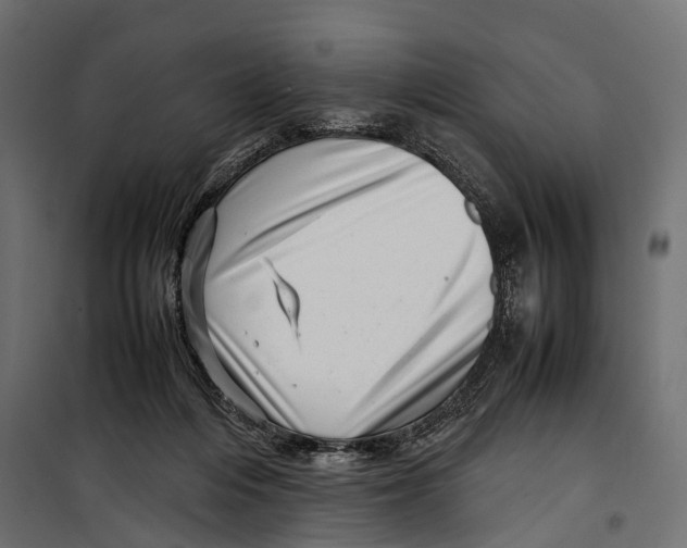 X0000099940216200806201128