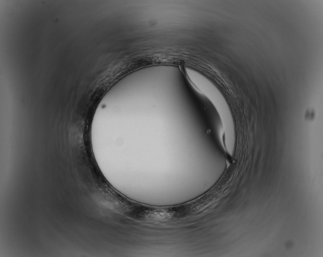 X0000099940217200806201128