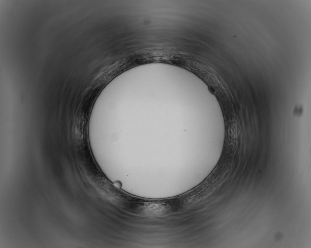 X0000099940218200806201128