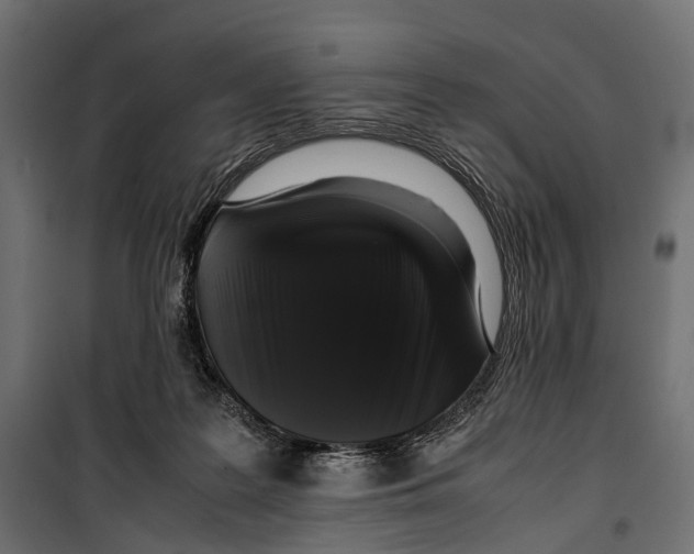 X0000099940219200806201128