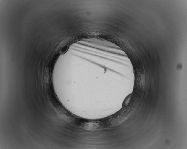 X0000099940220200806201128