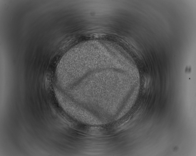 X0000099940222200806201128