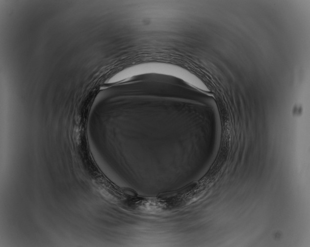 X0000099940223200806201128