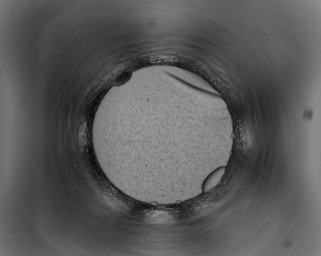 X0000099940224200806201128