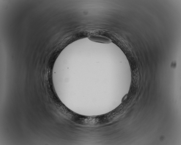 X0000099940225200806201128
