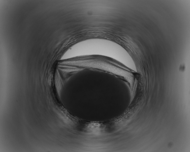 X0000099940227200806201128