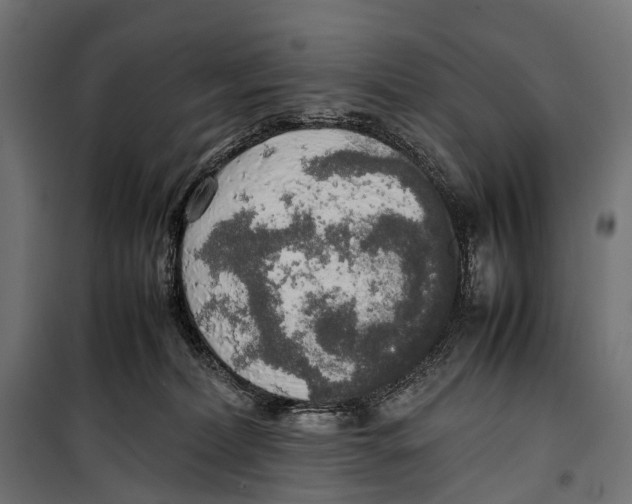 X0000099940228200806201128