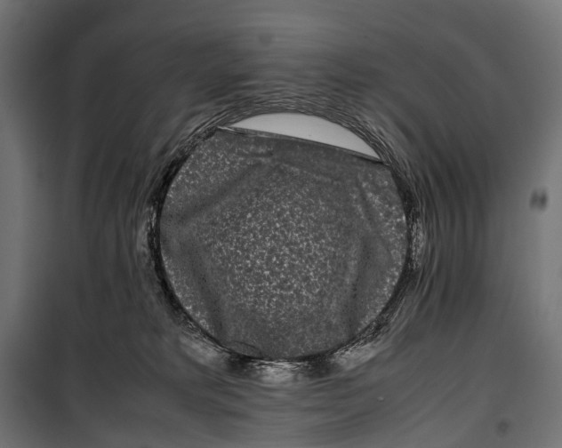 X0000099940229200806201128