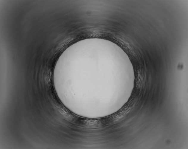 X0000099940230200806201128
