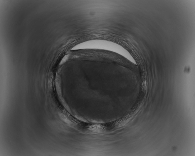 X0000099940231200806201128